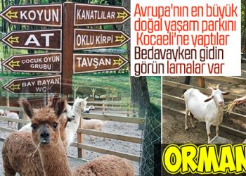 Avrupa’nın en büyük doğal yaşam parkı: Ormanya