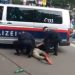 Avusturya polisinden çevre eylemcilerine sert müdahale