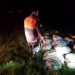 Kaçak avlanan 10 ton inci kefali ele geçirildi
