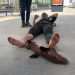 Şaka yaptığı arkadaşının ayağını metrobüs ezdi