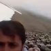 Trabzon’da çobanın yayla yolu tepkisi