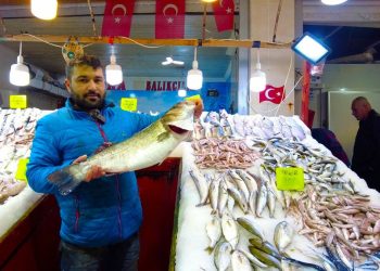 İzmir Foça’da tezgahları levrek balığı süslüyor