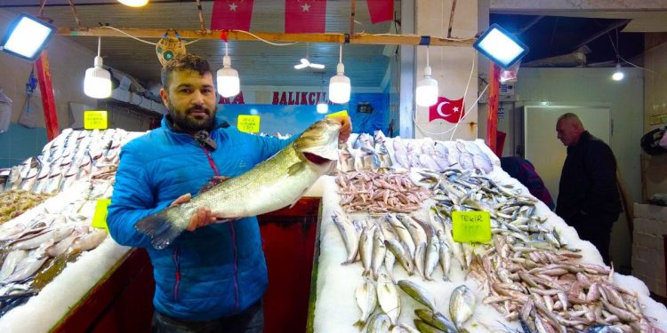 İzmir Foça’da tezgahları levrek balığı süslüyor