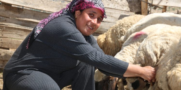 Malatyalı depremzede besici devlet desteği ile işine döndü