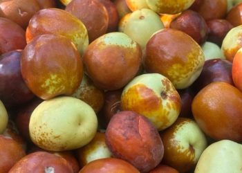 Ölümü dahi erteliyor! Hünnaplı yoğurt yiyin, etkisini görün…